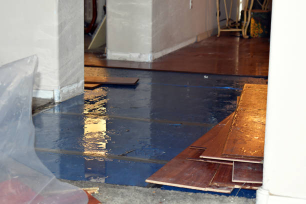 Professional Water Damage technician working in Collins, WI